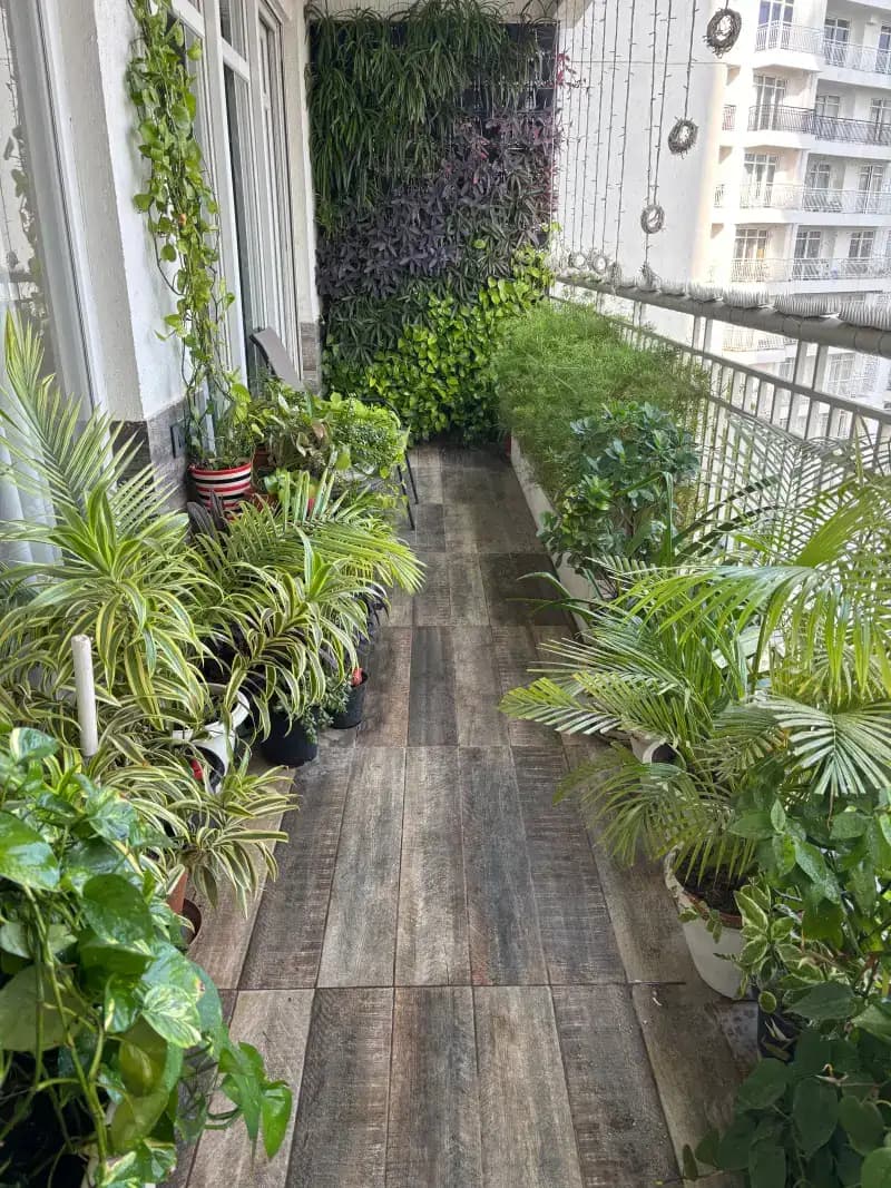 Plant care preview