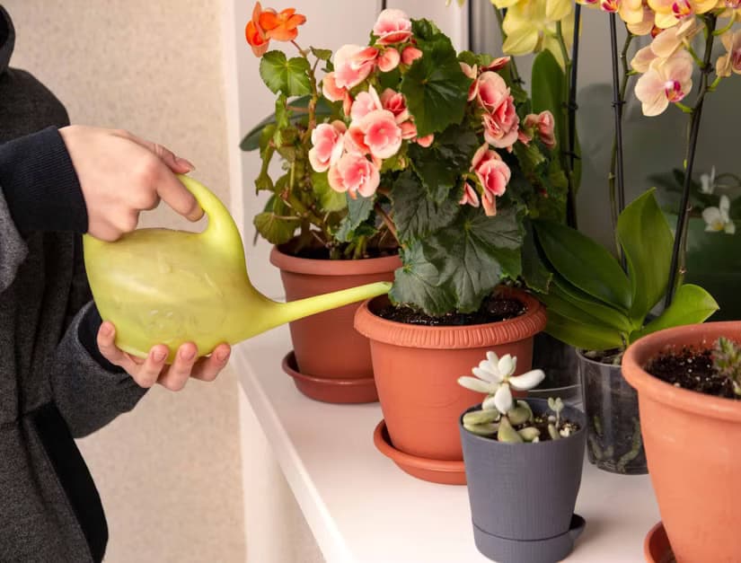 Testing soil at home