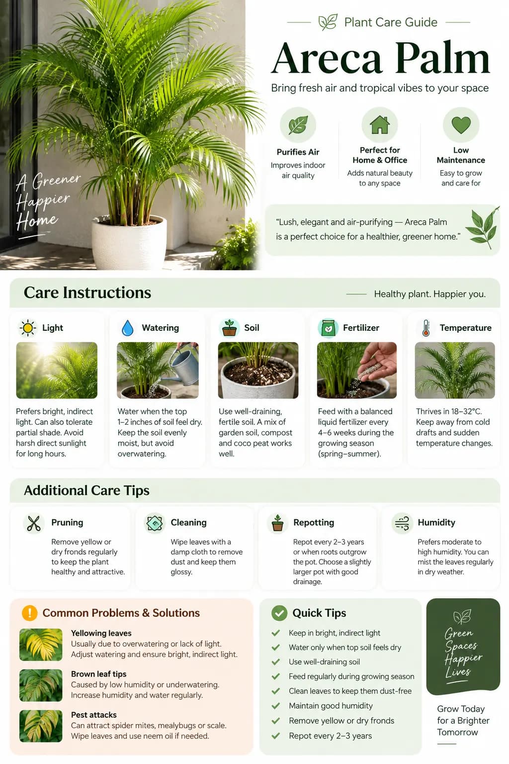 Areca Palm plant care guide image