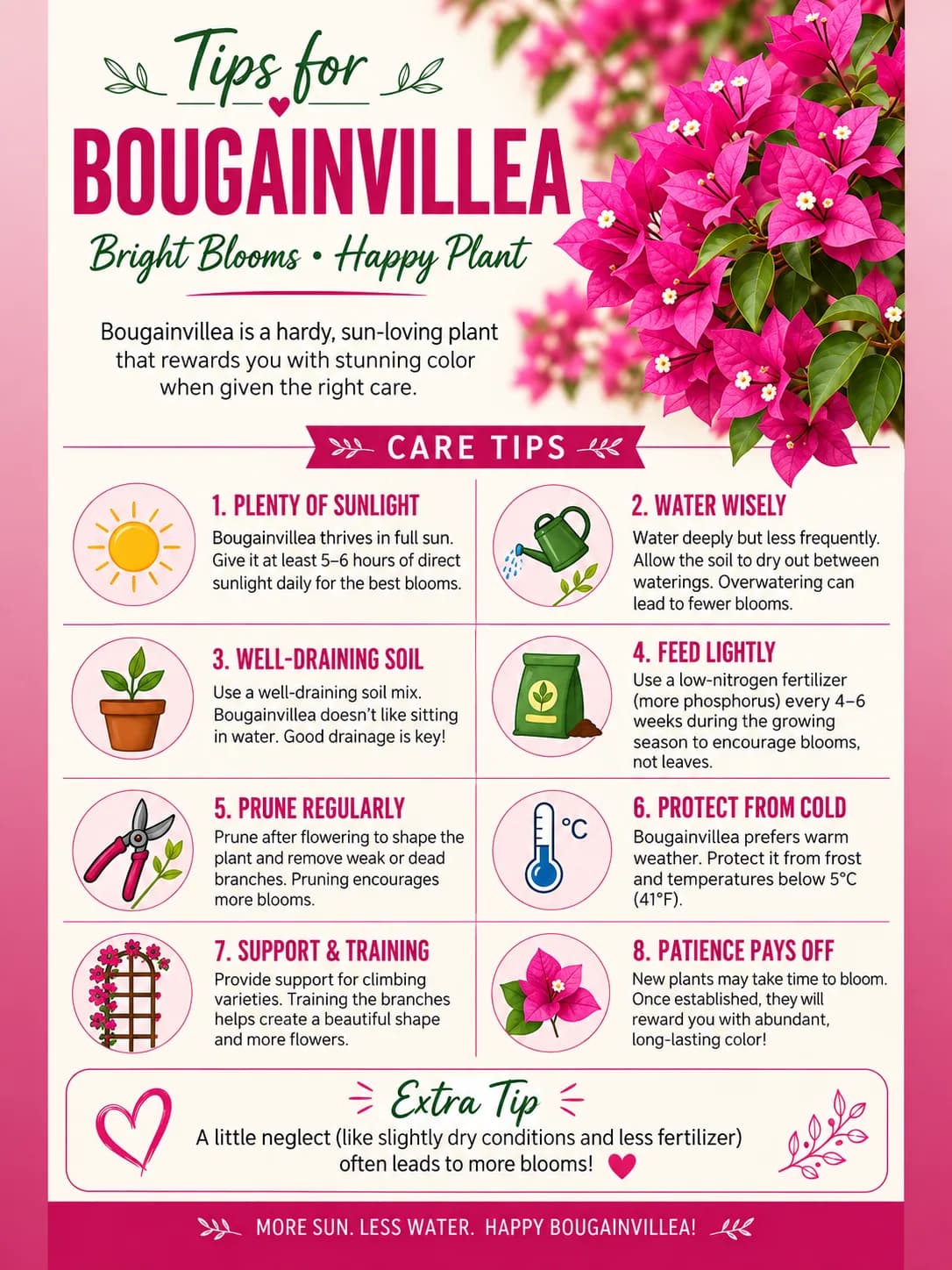 Bougainvillea plant care guide image