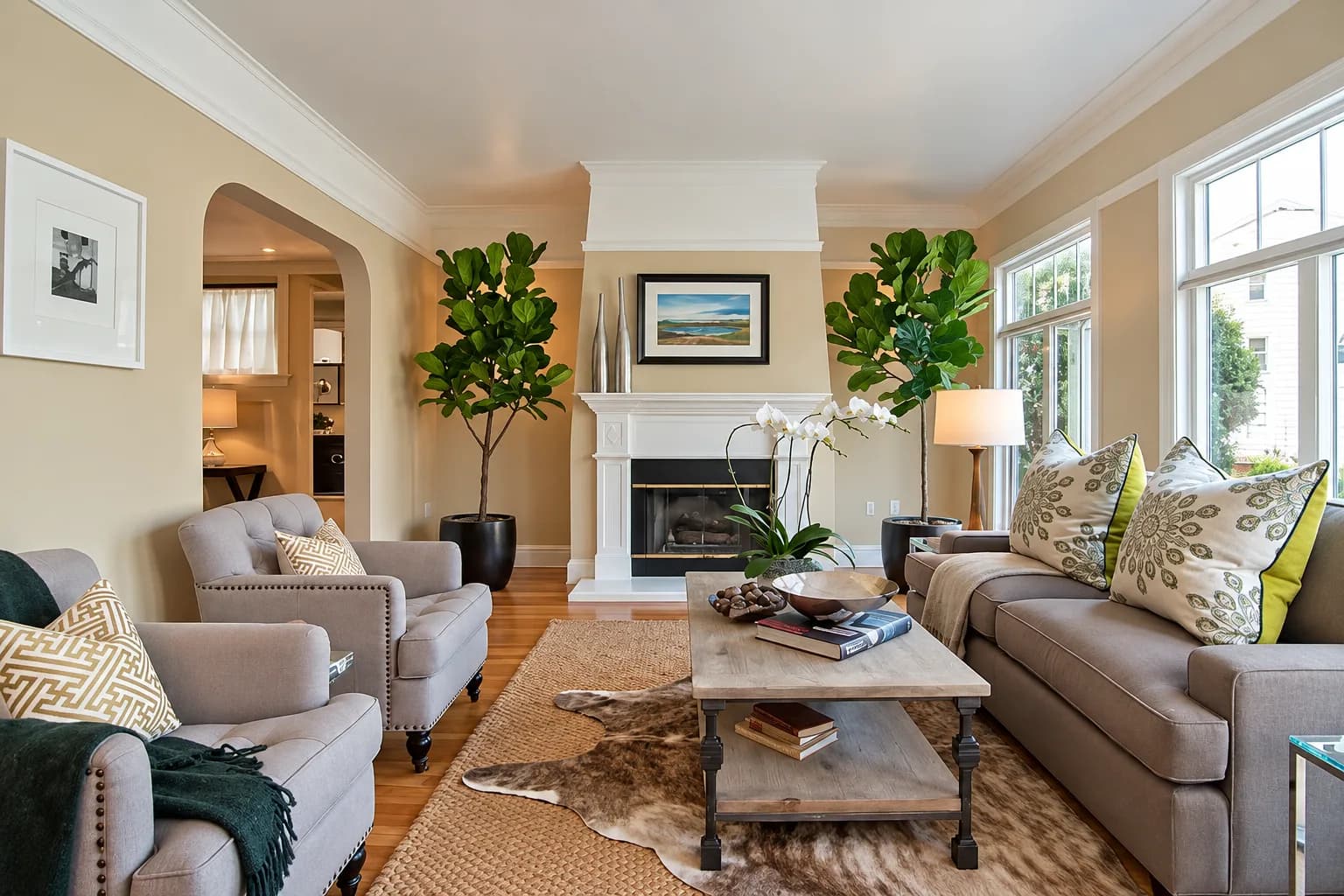 Fiddle Leaf Fig placed in a bright indoor living space