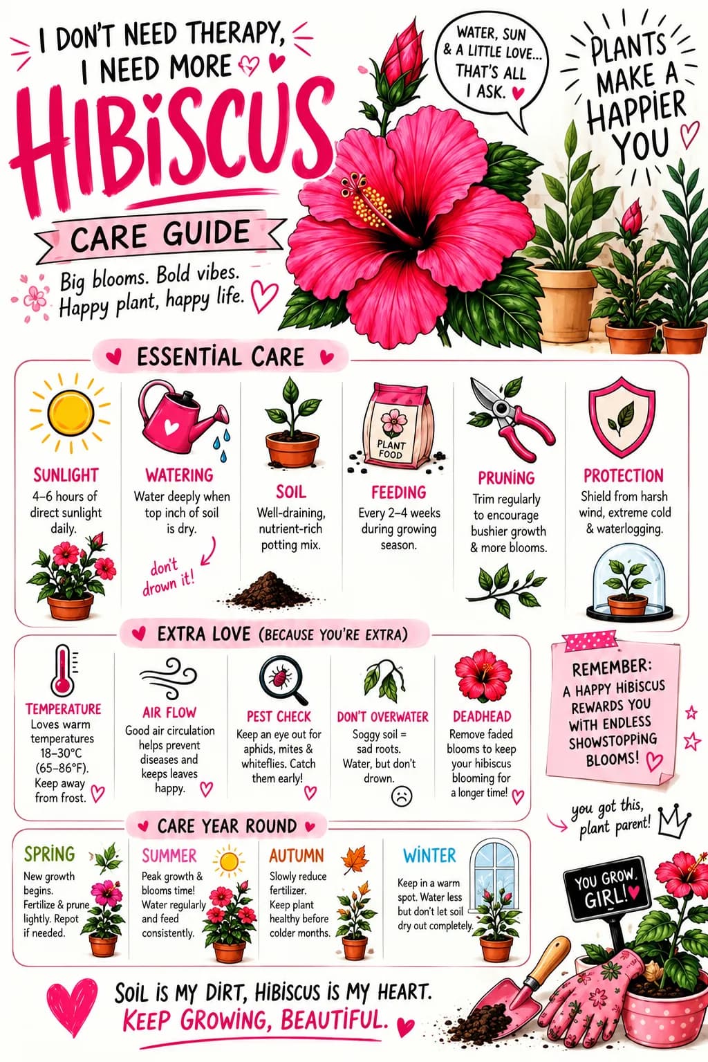 Hibiscus plant care guide image