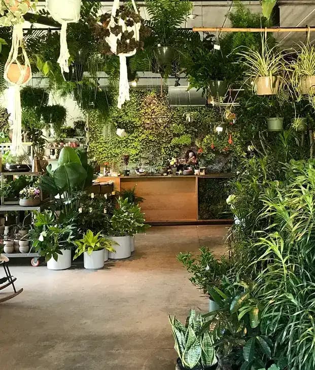 Existing Garden Makeover
