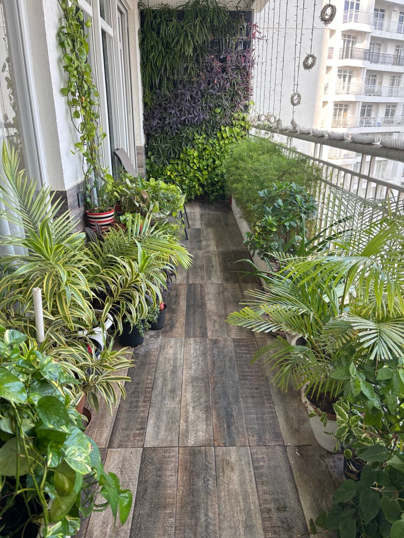 Plant care preview