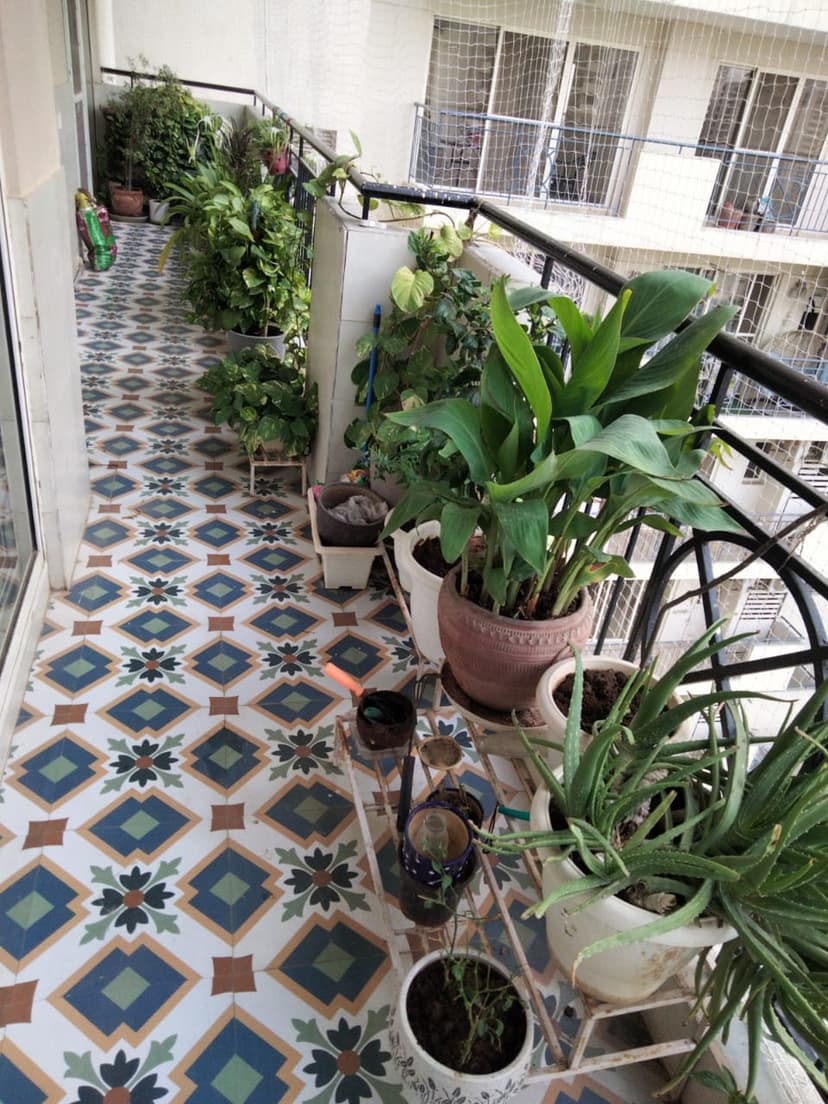 Beautiful garden
