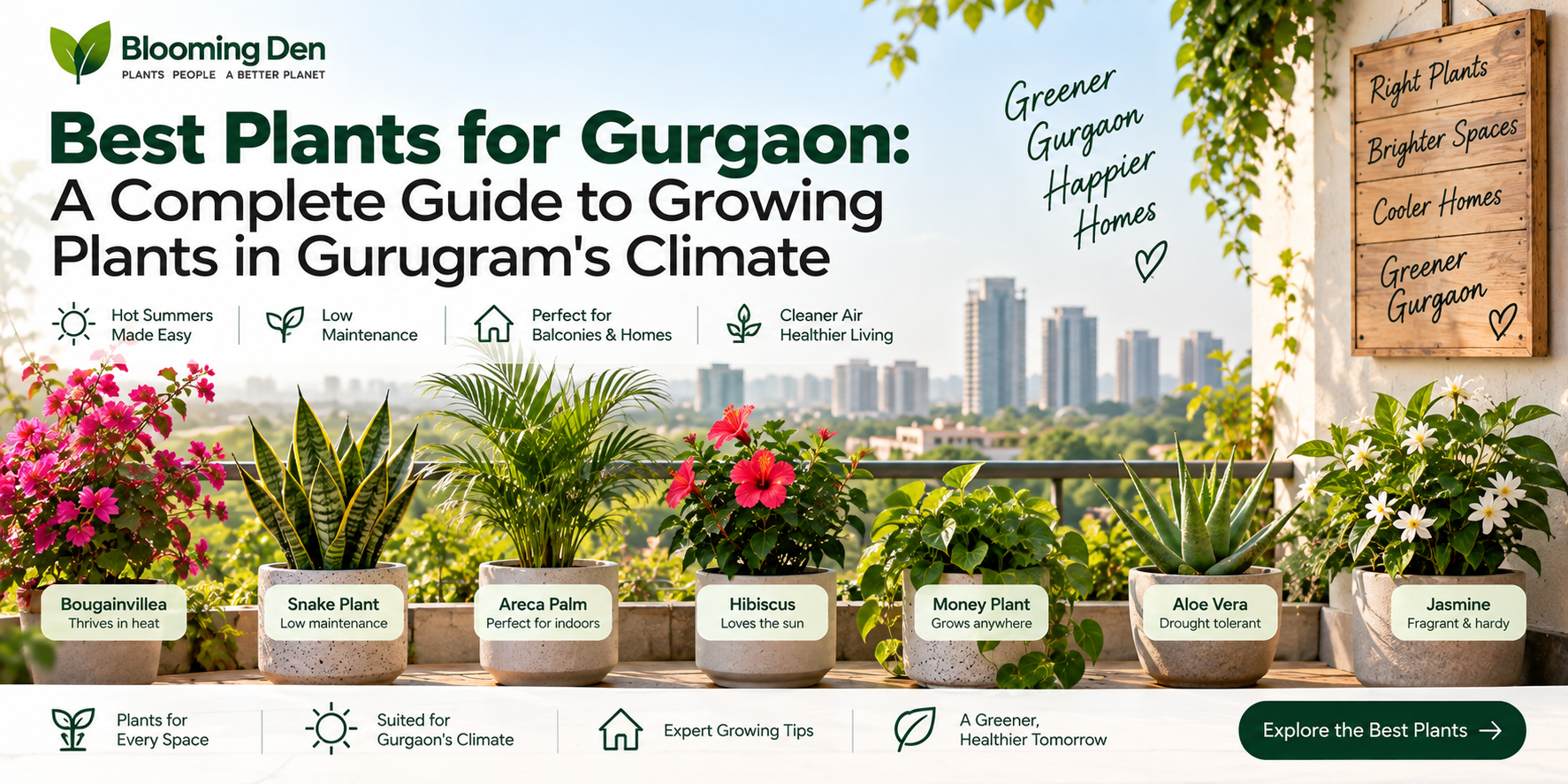 Best_plant_for_gurugram