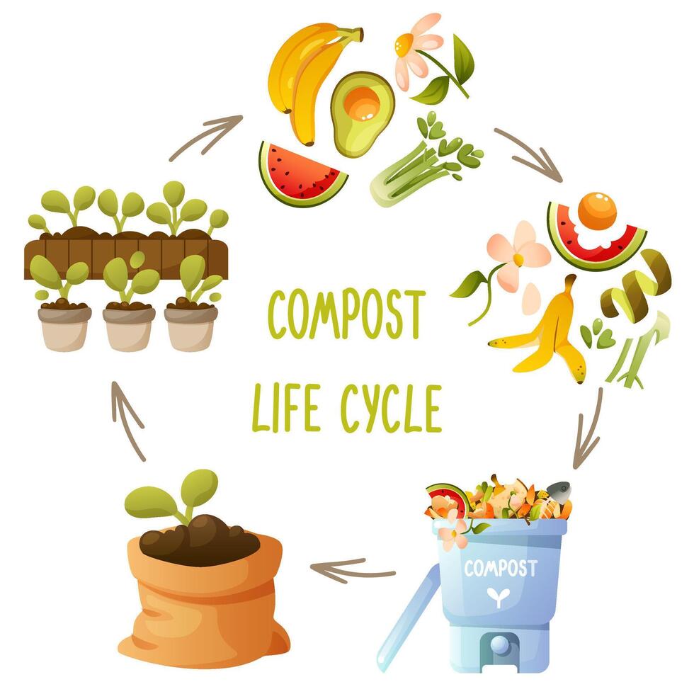 Kitchen Waste