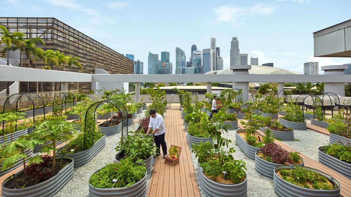 UrbanGardening