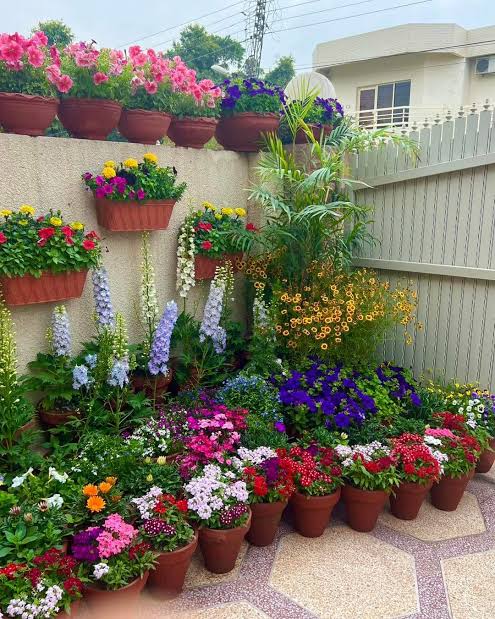 Winter Flowers