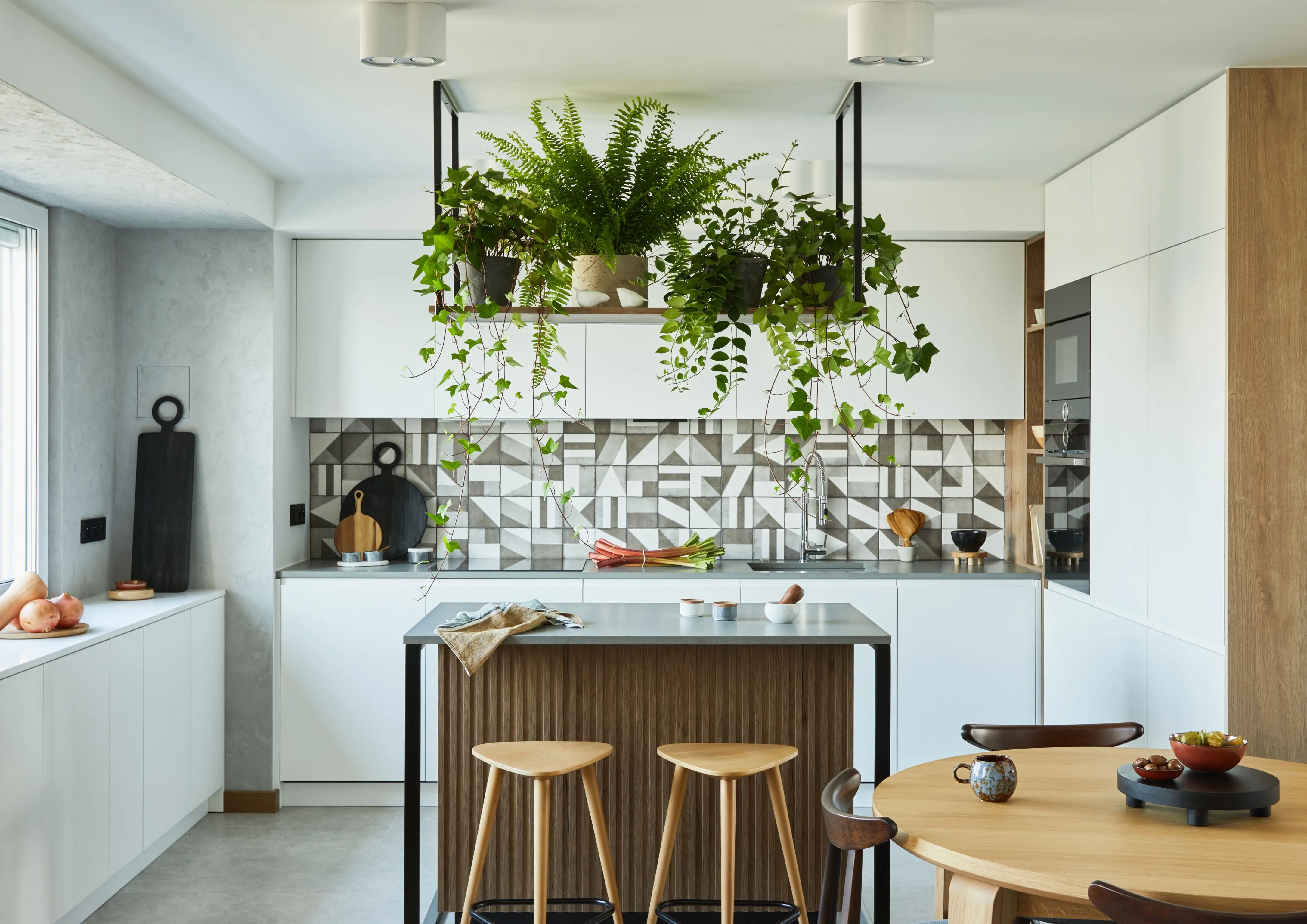best-plants-for-kitchen-in-india