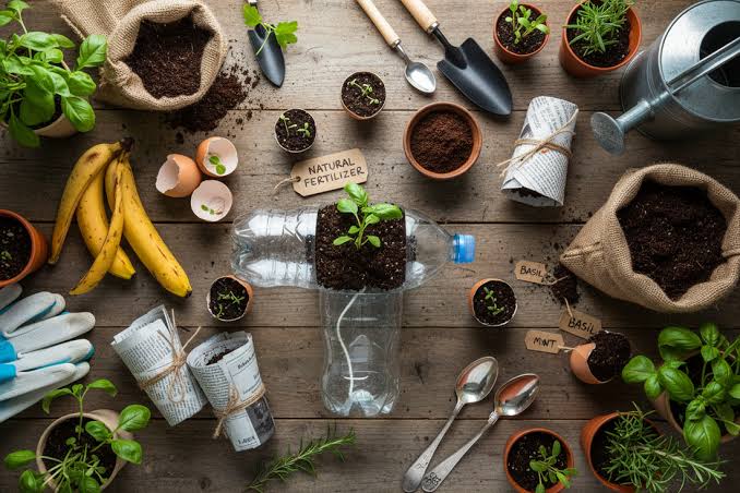 diy-gardening-in-india
