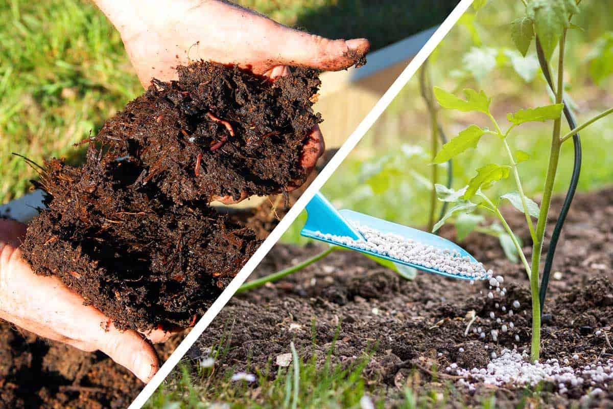organic-gardening