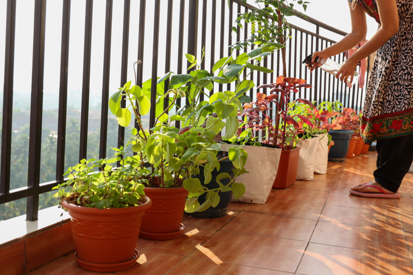 how-to-start-a-garden-in-india